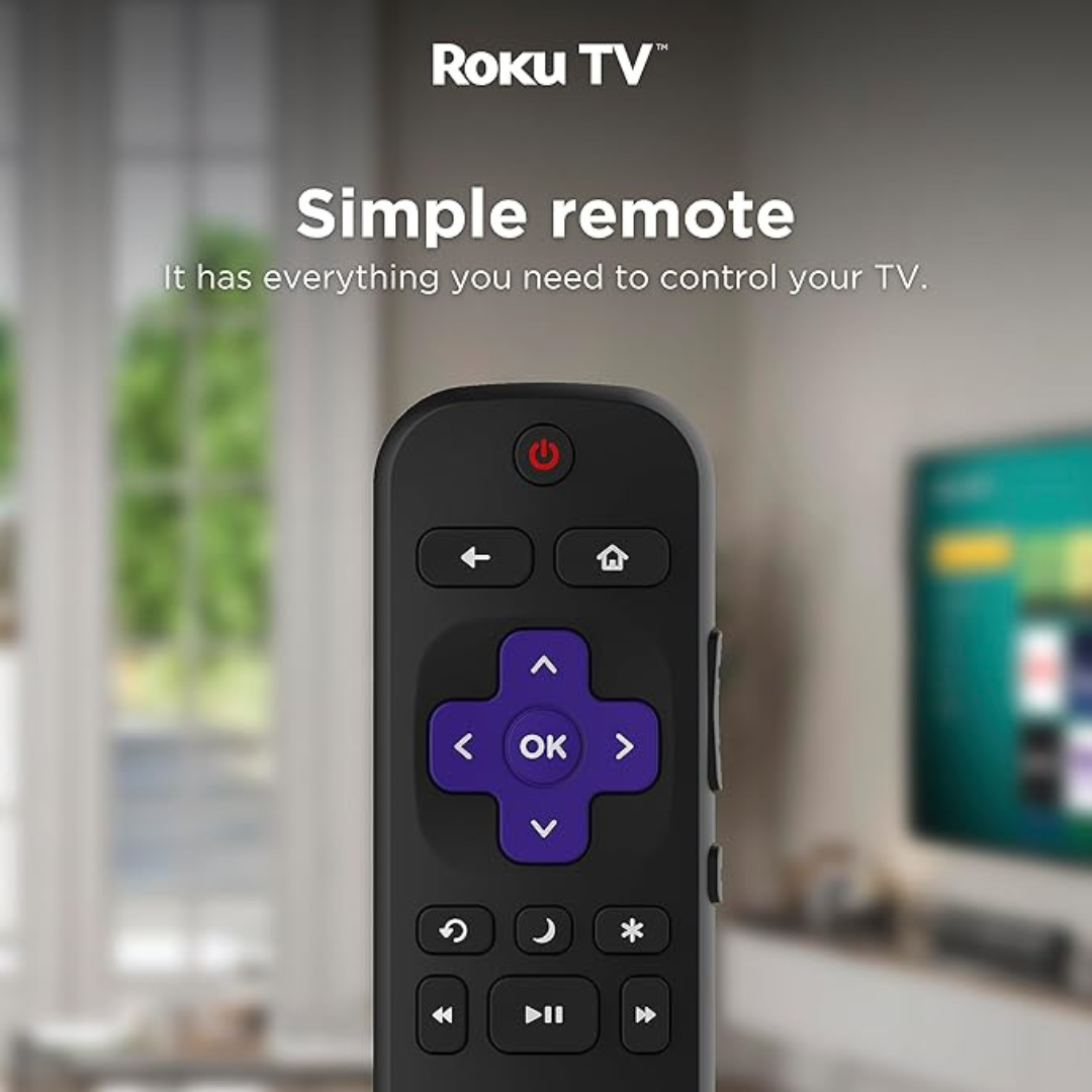 TV Package (50" TV, TV mount, installation and optional cover)