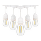SL101 3000K Warm White LED Low Voltage Bistro String Lights 48 FT Outdoor Weatherproof 12V Edison Bulbs