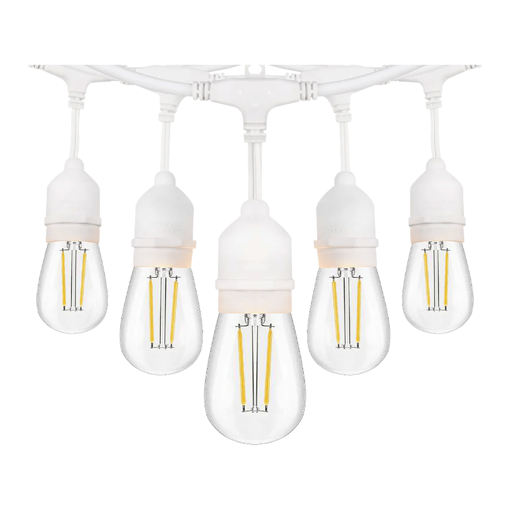 Five LED light bulbs hanging from a white ceiling fixture on a white background