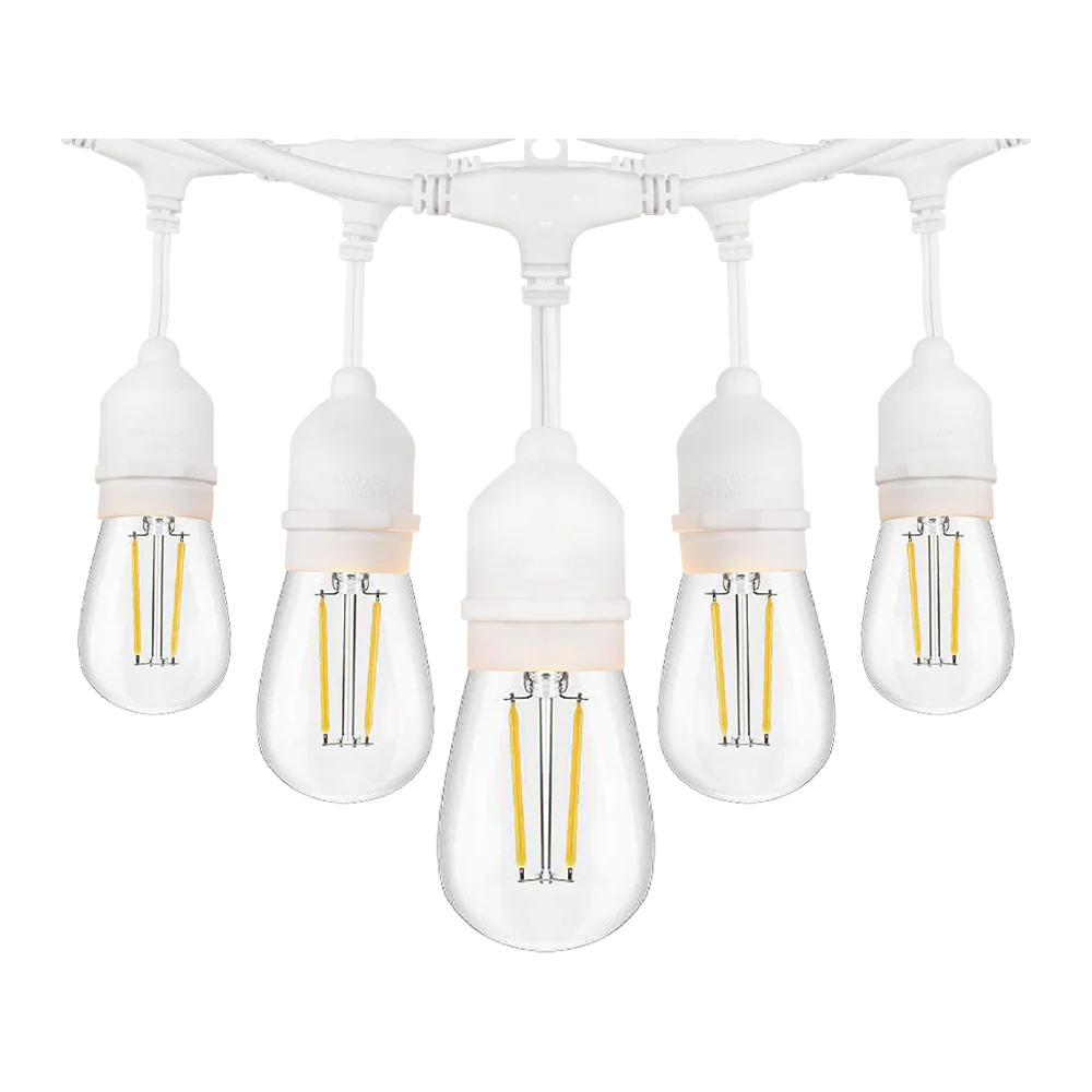 SL101 3000K Warm White LED Low Voltage Bistro String Lights 48 FT Outdoor Weatherproof 12V Edison Bulbs