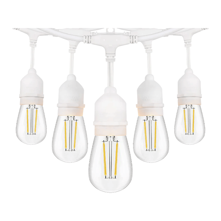 Five LED light bulbs hanging from a white ceiling fixture on a white background
