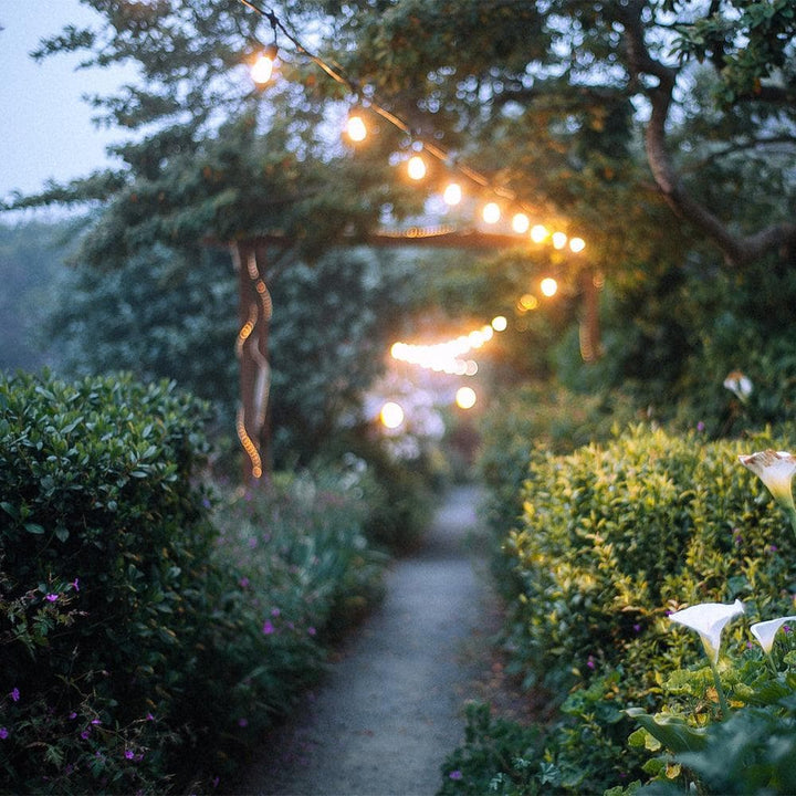 String lights hanging over a garden pathway with greenery and flowers.
