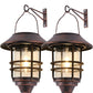 2 Pack Solar Hanging Lanterns, Wall/Porch Lights 15 Lumen Heavy Glass & Stainless