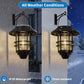 2 Pack Solar Hanging Lanterns, Wall/Porch Lights 15 Lumen Heavy Glass & Stainless