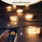 SL102 LED Dimmable Smart Bistro String Lights Outdoor Weatherproof 12V Edison Bulbs